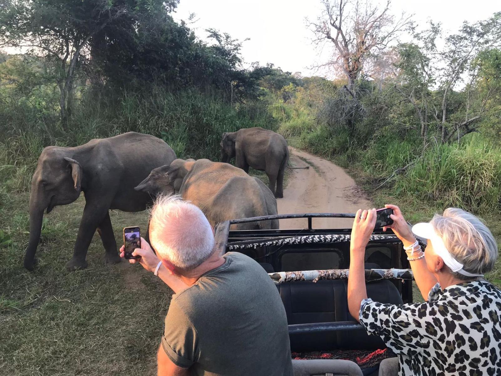 Namal Homestay Sigiriya Bagian luar foto